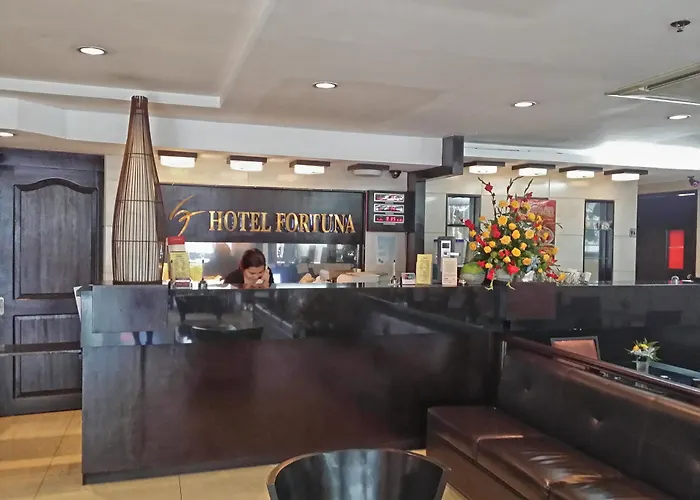 Fortuna 2* Cebu